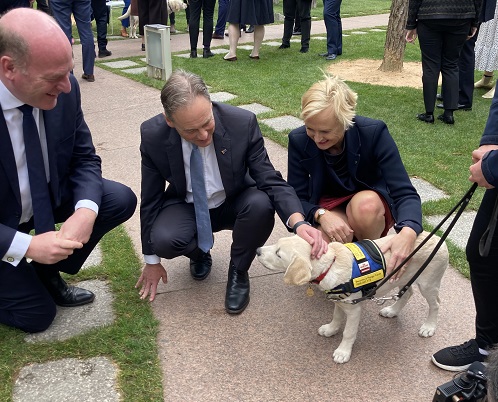 Two men in suits and a woman in business dress squat next to a small golden labrador puppy