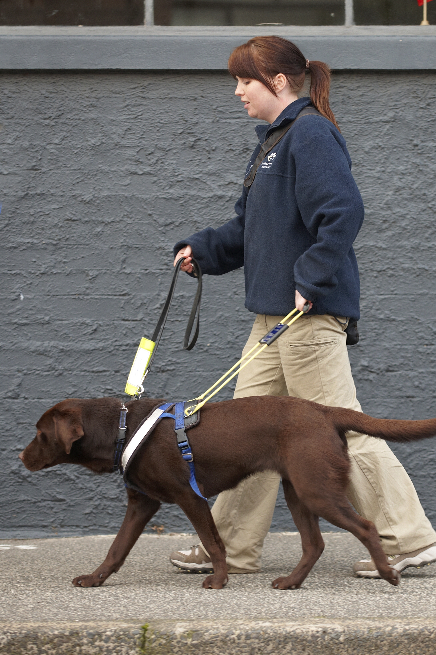 Young woman walking with a seeing eye dog