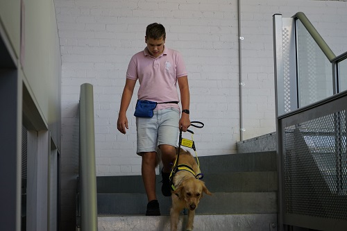 Sadie guides Oliie down a flight of stairs at the Seeing Eye Dogs trainign facility